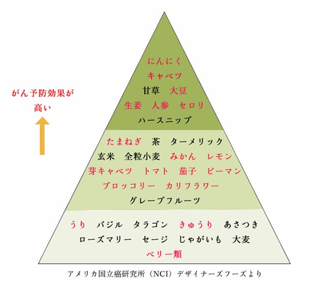 野菜、果物の抗癌作用のリストと発酵エキスに使われているもの