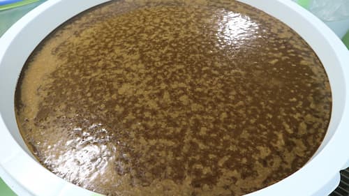 植物発酵エキスの熟成